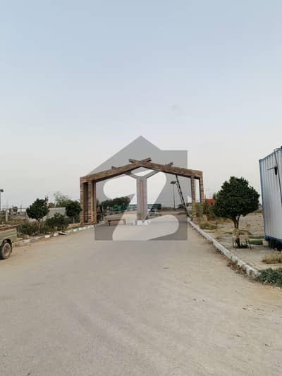 پیر
