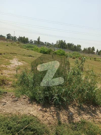 ازاخیل نوشہرہ میں 8 مرلہ رہائشی پلاٹ 32.0 لاکھ میں برائے فروخت۔