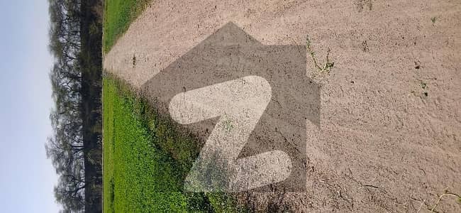 Golden Opportunity For Farmhouse Built Near To DHA Phase 7