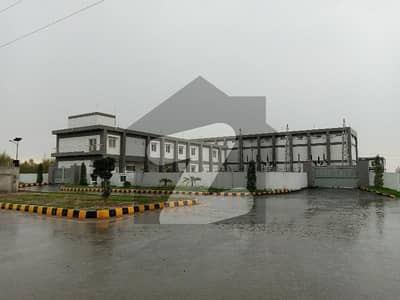 ڈی