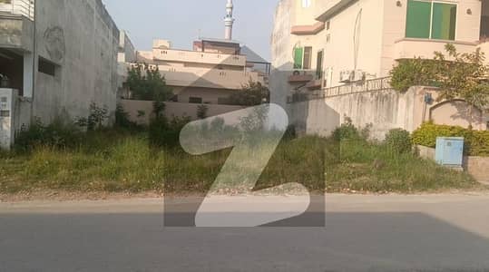 جناح