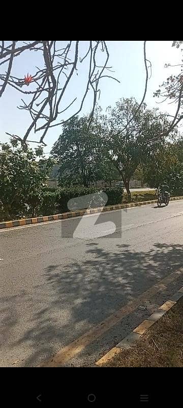 Adil Estate Offers You: Jati Umra Road 36 Kanal Residential Plot Available For Sale. Adil Estate Offers You: Jati Umra Road 36 Kanal Residential Plot Available For Sale.