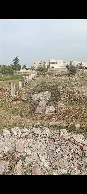 جاتی