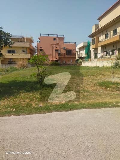 E-11/3
