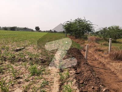 Agriculture