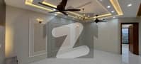42 