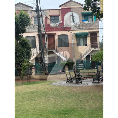 2 Bed Apartment For Rent For Girls Boys Family Eden Abad