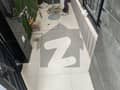 6 