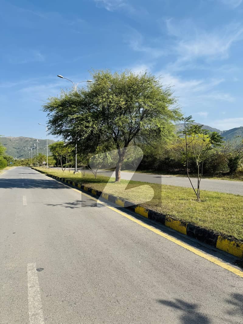SUN FACE PLOT 35x70 FOR SALE REASONABLE PLOT SUN FACE PLOT 35x70 FOR SALE REASONABLE PLOT