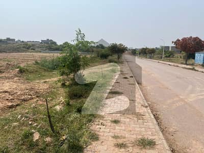 4 Kanal Farmhouse Plot For Sale In Gulberg Greens Block E | Prime Location With Possession