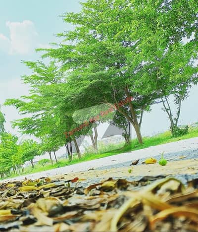 Sector D Next Street To Main Central Boulevard 1 Minute Walking Distance To Northern Bypass Sector D Next Street To Main Central Boulevard 1 Minute Walking Distance To Northern Bypass