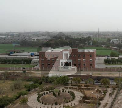 زامین