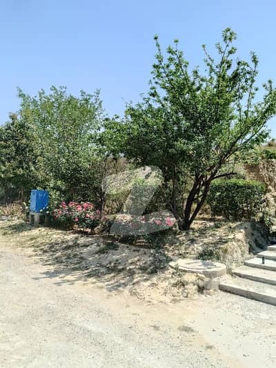 ایم پی سی ایچ ایس - بلاک سی ایم پی سی ایچ ایس ۔ ملٹی گارڈنز,بی ۔ 17,اسلام آباد میں 1 کنال رہائشی پلاٹ 2.1 کروڑ میں برائے فروخت۔ ایم پی سی ایچ ایس - بلاک سی ایم پی سی ایچ ایس ۔ ملٹی گارڈنز,بی ۔ 17,اسلام آباد میں 1 کنال رہائشی پلاٹ 2.1 کروڑ میں برائے فروخت۔