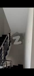 41 