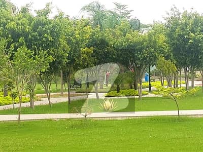 Beautiful Plot Very Super Hot Location Near Commercial Area & Kids Park In DHA Rahber 11 Beautiful Plot Very Super Hot Location Near Commercial Area & Kids Park In DHA Rahber 11