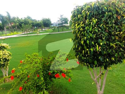 Beautiful Plot Very Super Hot Location Near Commercial Area & Kids Park In DHA Rahber 11 Beautiful Plot Very Super Hot Location Near Commercial Area & Kids Park In DHA Rahber 11