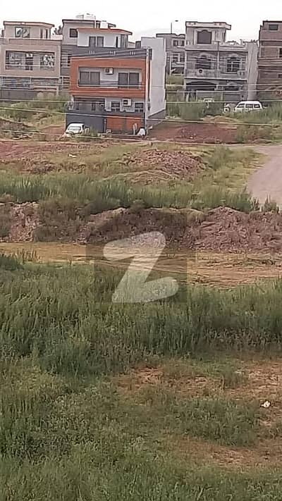 آئی