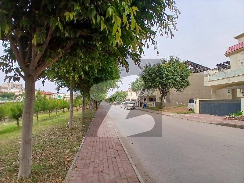 1 Kanal Plot Golden Plot Golden Opportunity 1 Kanal Plot Golden Plot Golden Opportunity