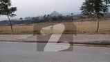 24 