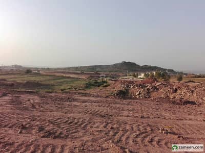 Residential Plot For Sale In The Royal Mall and Residency - Sector B1