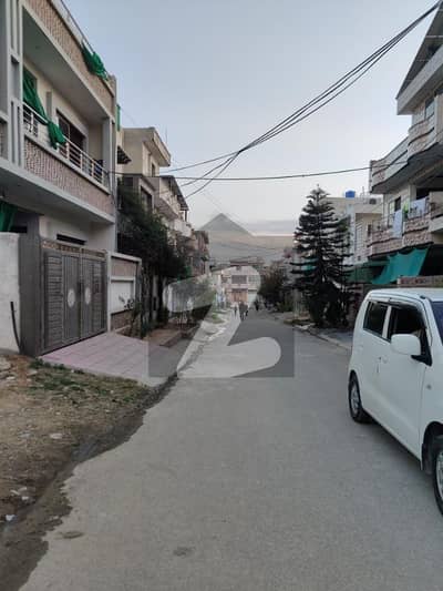 نیو