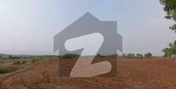 Plot