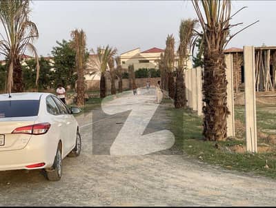 بیدیاں