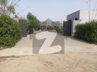 فیروزپور