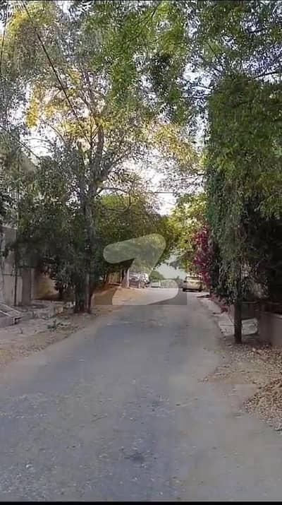 ڈی