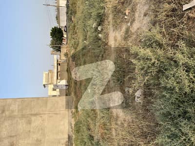سعدی