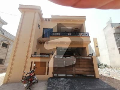 صنوبر