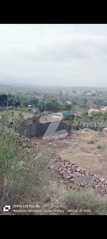 سملی