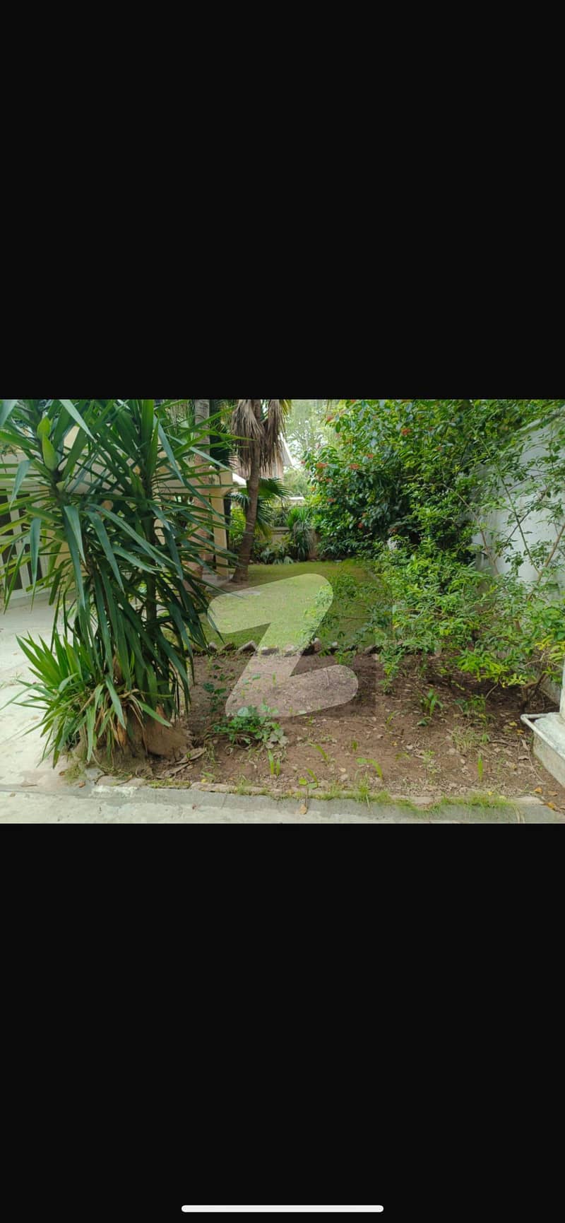 Beautiful House Available For Rent At Extremely Prime Location Beautiful House Available For Rent At Extremely Prime Location