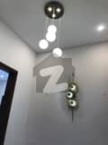 24 