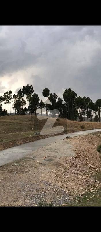 4 Kanal Plot Available For Sale At Qalandarabad, Abbottabad! 4 Kanal Plot Available For Sale At Qalandarabad, Abbottabad!