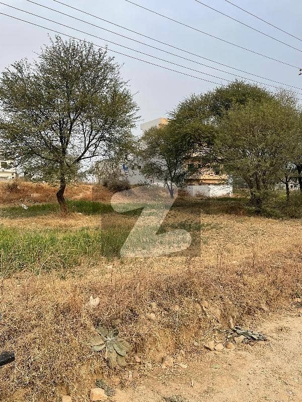 5 Marla Plot Available For Sale
