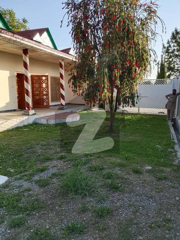 Farm House Available For Sale Near MacDonald Abbottabad Farm House Available For Sale Near MacDonald Abbottabad
