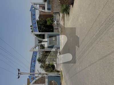 فائن