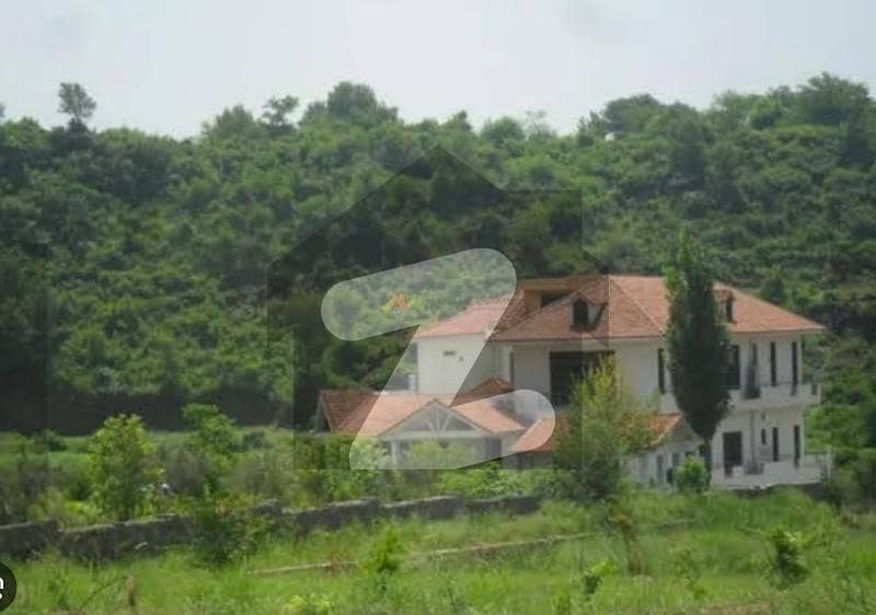5 Kanal Farm House Land For Sale 5 Kanal Farm House Land For Sale