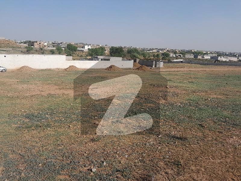 5 MARLA RESIDENTIAL PLOT for sale in D. 14 5 MARLA RESIDENTIAL PLOT for sale in D. 14