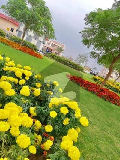 بحریہ ٹاؤن - پریسنٹ 27 بحریہ ٹاؤن کراچی,کراچی میں 5 مرلہ رہائشی پلاٹ 28.0 لاکھ میں برائے فروخت۔ بحریہ ٹاؤن - پریسنٹ 27 بحریہ ٹاؤن کراچی,کراچی میں 5 مرلہ رہائشی پلاٹ 28.0 لاکھ میں برائے فروخت۔