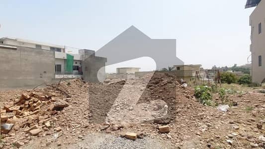 ڈی