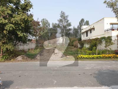 Most Reasonable Plot On Prime Location Phase 5 G Block Most Reasonable Plot On Prime Location Phase 5 G Block