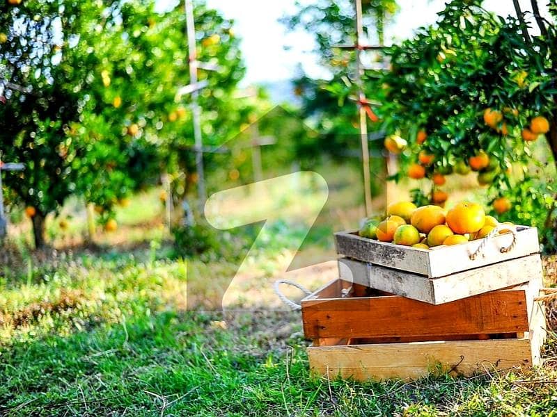 فتح جنگ روڈ اسلام آباد میں 5 کنال زرعی زمین 40.0 لاکھ میں برائے فروخت۔ فتح جنگ روڈ اسلام آباد میں 5 کنال زرعی زمین 40.0 لاکھ میں برائے فروخت۔