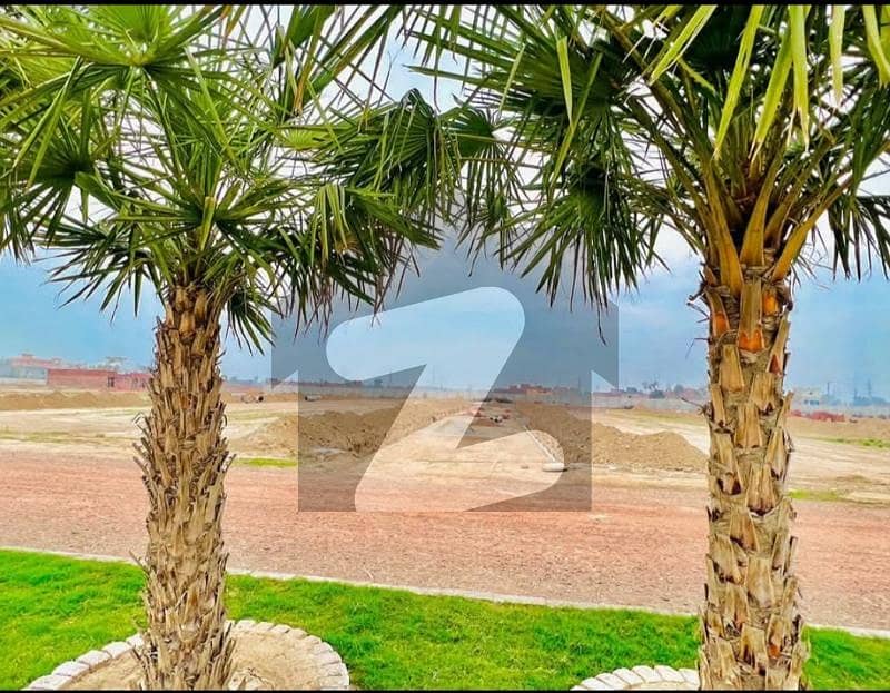 36 