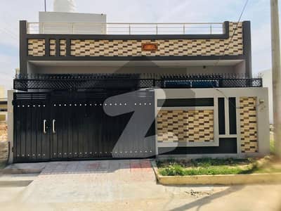 نیو