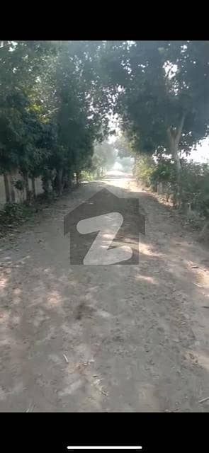 چک نمبر32/4-ایل اوکاڑہ میں 440 کنال زرعی زمین 42.0 کروڑ میں برائے فروخت۔