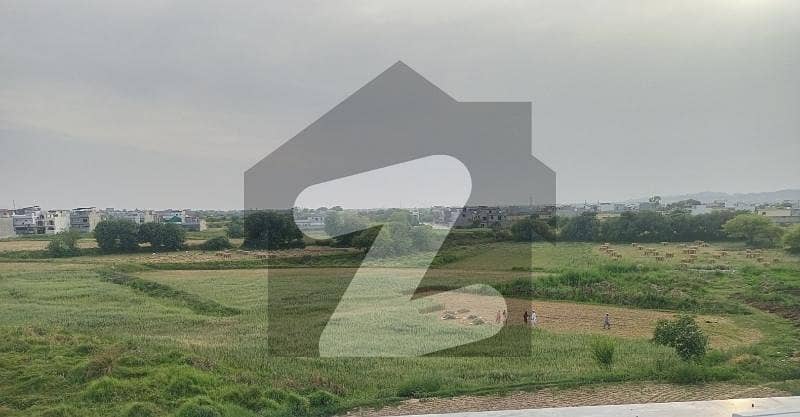 36 