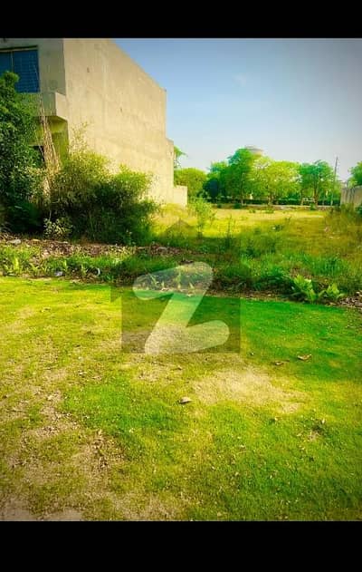 نشیمنِ
