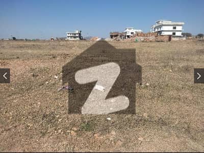 25x50(